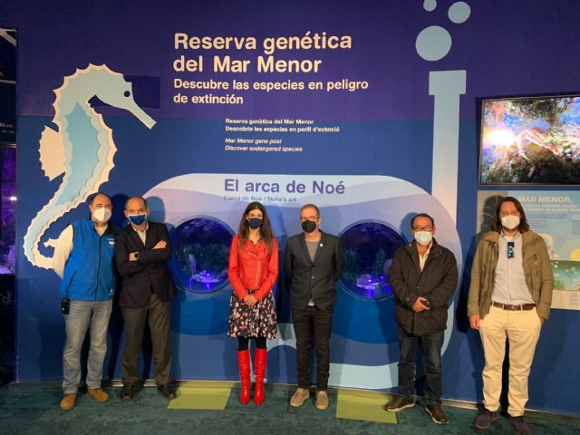 La flora y la fauna del Mar Menor se hacen hueco en el Oceanogràfic de Valencia con un espacio expositivo permanente - 1, Foto 1
