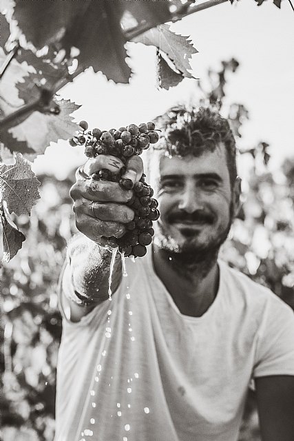 La Región de Murcia cuenta ya con la primera agencia especializada en marketing vinícola - 3, Foto 3