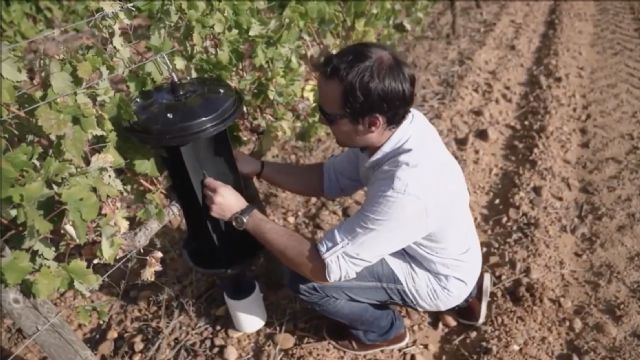 La trampa murciana ´CROSSTRAP®´, finalista en los premios de Innovación de la Plataforma Tecnológica del Vino (PTV) - 1, Foto 1