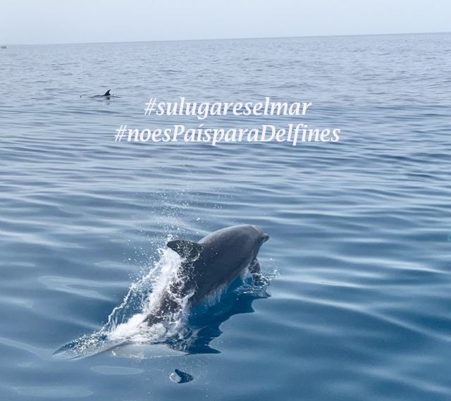 Avatar y la cautividad - 1, Foto 1