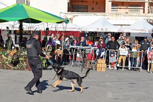 Los agentes de cuatro patas muestran en Las Torres de Cotillas sus destrezas - 3, Foto 3