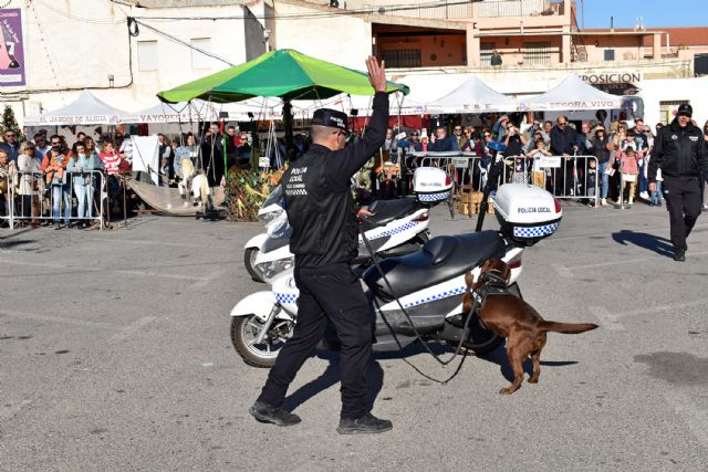 Los agentes de cuatro patas muestran en Las Torres de Cotillas sus destrezas - 4, Foto 4