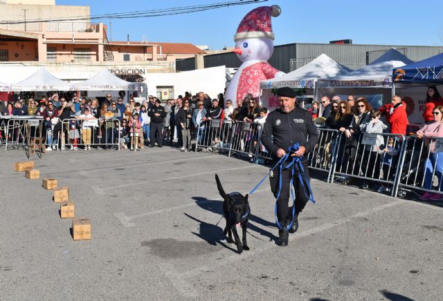 Los agentes de cuatro patas muestran en Las Torres de Cotillas sus destrezas - 5, Foto 5