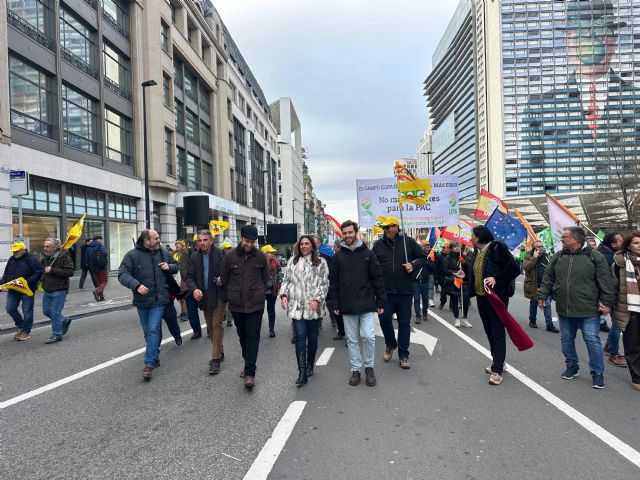 El Gobierno regional apoya en Bruselas a los agricultores y ganaderos que se manifiestan para reclamar más fondos para la futura PAC - 3, Foto 3