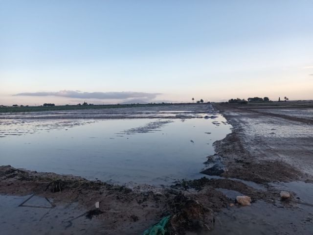 Coag solicita ayudas tras el paso de la DANA Emilia por Totana, Foto 2