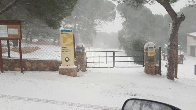 En estos momentos sigue nevando en Sierra Espuña de forma copiosa