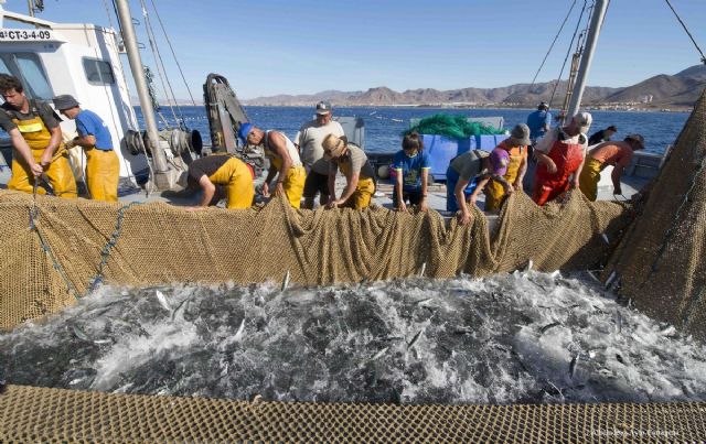 Pescados con Arte inicia 2017 enseñando a los mas pequeños a cocinar el rubio y a conservar los fondos marinos del litoral cartagenero - 1, Foto 1
