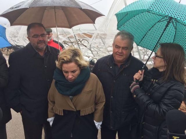 The Minister of Agriculture and the mayor of Totana visit the table grape vineyards damaged in El Raiguero by the snow storm, Foto 6