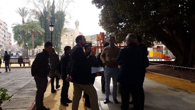 Comienza la instalación de sensores en dos ficus del jardín de Floridablanca - 2, Foto 2