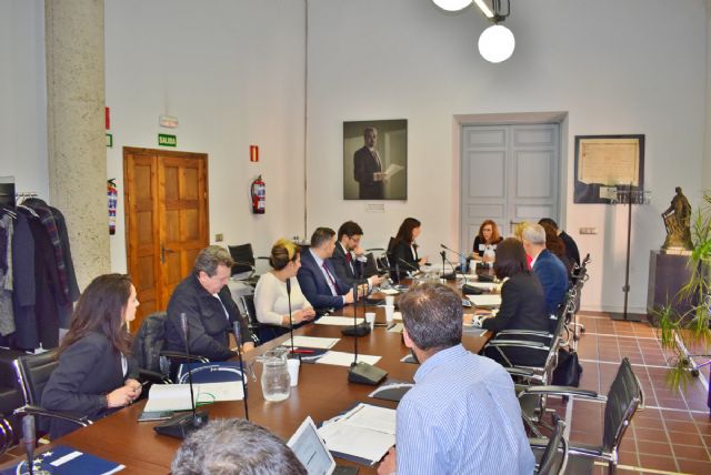 La alcaldesa preside en Madrid la Comision de Desarrollo Economico y Empleo de la FEMP - 1, Foto 1