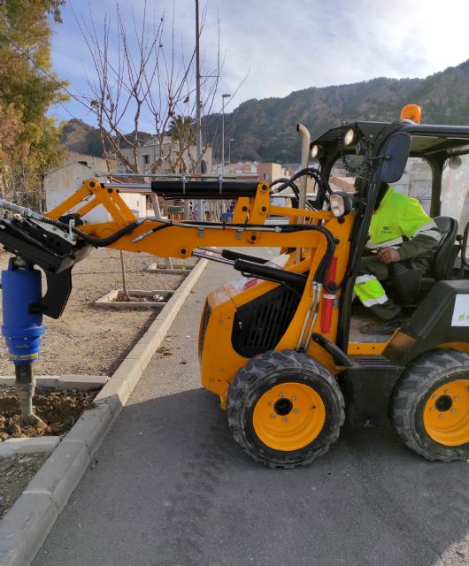 Parques y Jardines realiza una campaña de destoconado recuperando espacios para nuevos árboles - 1, Foto 1
