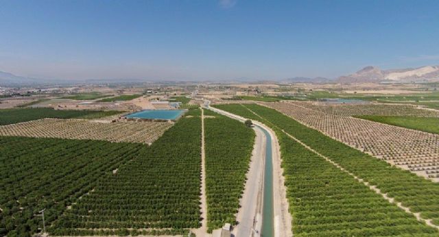 La CHS saca a licitación la conservación y el mantenimiento de los canales del Postrasvase Tajo-Segura - 1, Foto 1