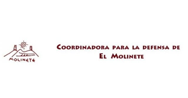 La Coordinadora del Molinete lamenta que el Gobierno Local rechace sus alegaciones al presupuesto contra la venta de suelo del cerro - 1, Foto 1