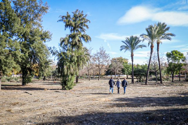 El Ayuntamiento acondiciona más de 24.000 metros cuadrados de parcelas municipales en San Ginés - 1, Foto 1