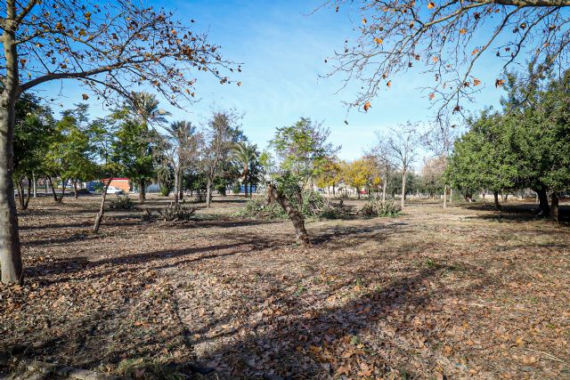 El Ayuntamiento acondiciona más de 24.000 metros cuadrados de parcelas municipales en San Ginés - 3, Foto 3