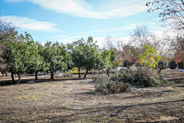El Ayuntamiento acondiciona más de 24.000 metros cuadrados de parcelas municipales en San Ginés - 5, Foto 5