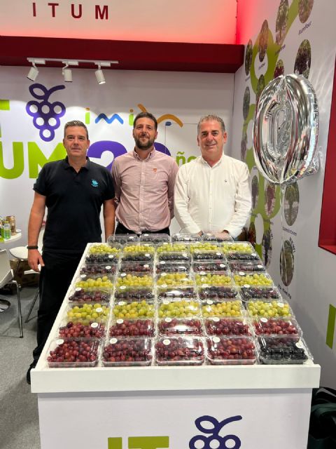 Cruzan variedades de vid para lograr una uva de mesa de pulpa tinta,sin semillas y rica en compuestos saludables - 1, Foto 1