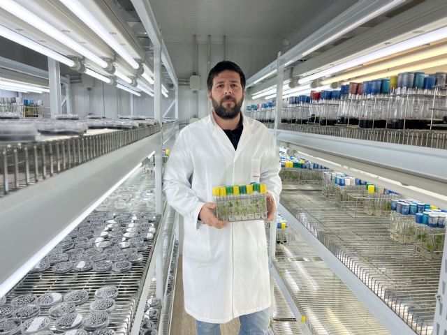 Cruzan variedades de vid para lograr una uva de mesa de pulpa tinta,sin semillas y rica en compuestos saludables - 2, Foto 2