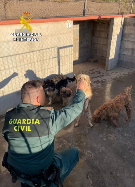 La Guardia Civil investiga a dos vecinos de Águilas por maltrato animal - 1, Foto 1
