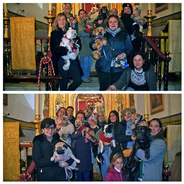 La Hermandad de la Divina Pastora Conmemora dos Décadas de San Antón en Sevilla - 1, Foto 1