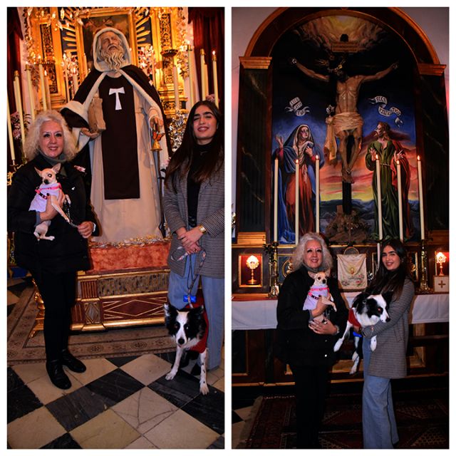 La Hermandad de la Divina Pastora Conmemora dos Décadas de San Antón en Sevilla - 2, Foto 2