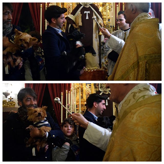 La Hermandad de la Divina Pastora Conmemora dos Décadas de San Antón en Sevilla - 4, Foto 4