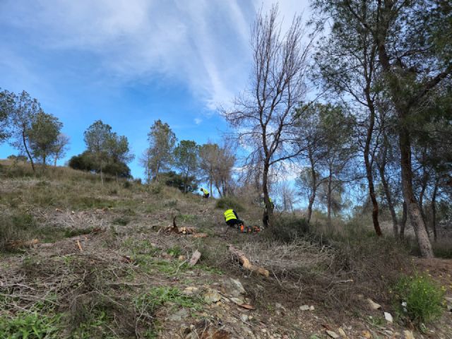 El Ayuntamiento actúa en 6 hectáreas de Montepinar para frenar los efectos de la sequía y prevenir incendios - 2, Foto 2