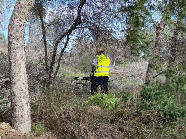 El Ayuntamiento actúa en 6 hectáreas de Montepinar para frenar los efectos de la sequía y prevenir incendios - 3, Foto 3