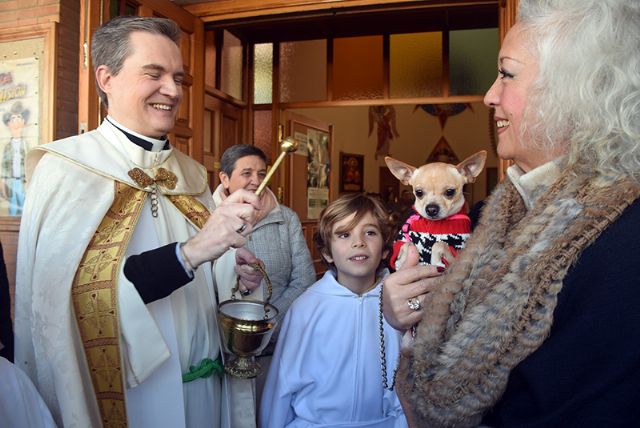 La Parroquia de la Resurrección de Sevilla celebra la onomástica de San Antonio Abad con la bendición de los animales - 3, Foto 3