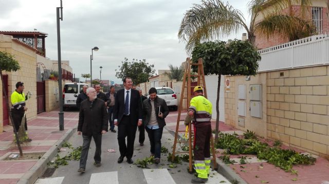 El Servicio de Parques y Jardines comienza la poda de 13.000 naranjos - 1, Foto 1