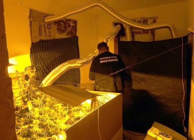 La Guardia Civil desmantela un grupo criminal dedicado al robo en comercios y al cultivo y elaboración de drogas en La Unión - 1, Foto 1