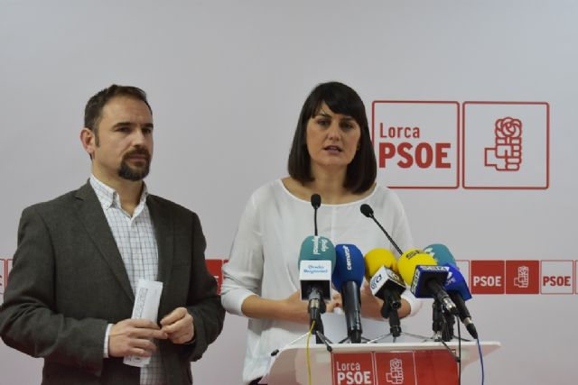 El PSOE consigue que el Gobierno negocie con los damnificados del sector fotovoltaico - 1, Foto 1