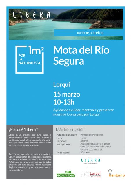 El Ayuntamiento pone en marcha el proyecto LIBERA con la limpieza de la mota del Río Segura a su paso por Lorquí - 1, Foto 1