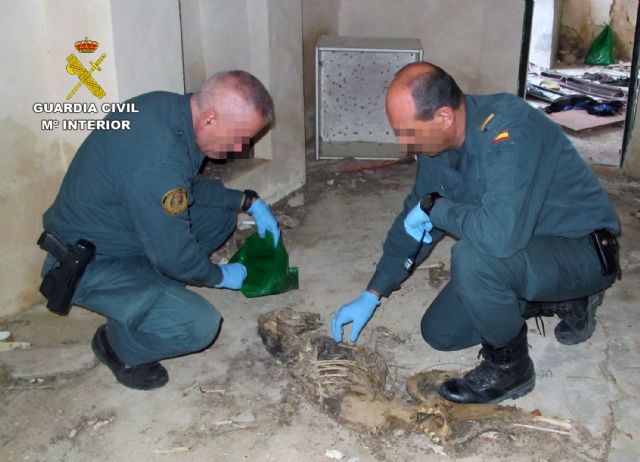 La Guardia Civil investiga a un vecino de Fortuna por la muerte violenta de cuatro galgos - 2, Foto 2