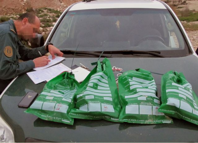 La Guardia Civil investiga a un vecino de Fortuna por la muerte violenta de cuatro galgos - 3, Foto 3