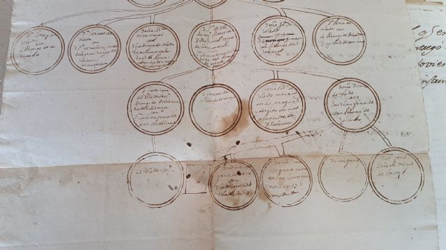 La UMU sintetiza la historia de los Álvarez de Toledo a través de su comportamiento matrimonial - 1, Foto 1