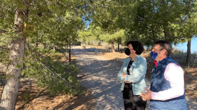 La Comunidad avanza en los tratamientos contra la procesionaria del pino en Cartagena, La Unión, Mazarrón, Águilas, Lorca y Puerto Lumbreras - 1, Foto 1