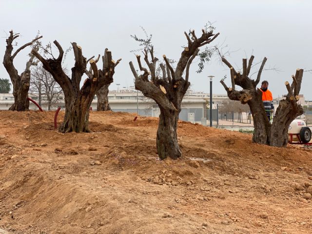 Actuaciones de acondicionamiento del Jardín de la Literatura - 4, Foto 4