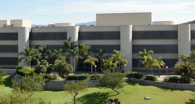 Los equipos matemáticos de UMU y UA jugarán presencialmente este viernes en el campus de Espinardo - 1, Foto 1