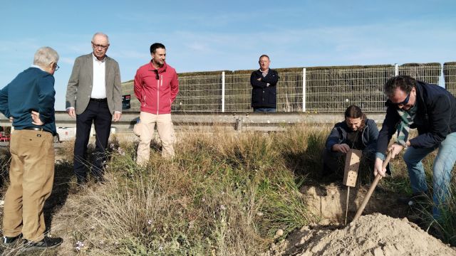 Voluntarios plantan medio centenar de olmos a orillas del río Segura para recuperar los antiguos dominios de la huerta - 1, Foto 1