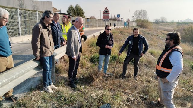 Voluntarios plantan medio centenar de olmos a orillas del río Segura para recuperar los antiguos dominios de la huerta - 2, Foto 2