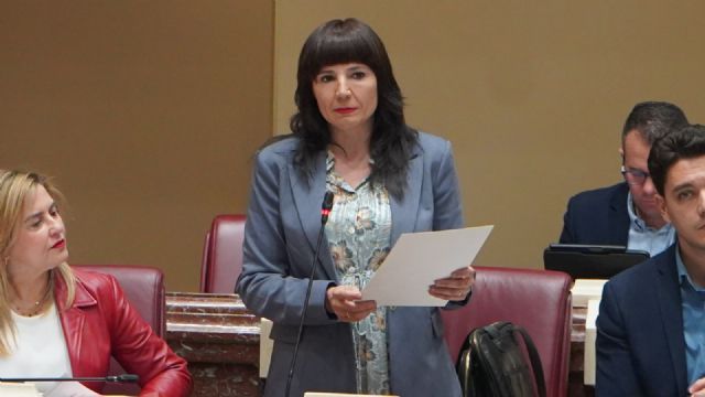 Marisol Sánchez: El Gobierno regional del PP lleva más de una década incumpliendo la ley que fija los tiempos máximos de espera para una cita médica - 2, Foto 2