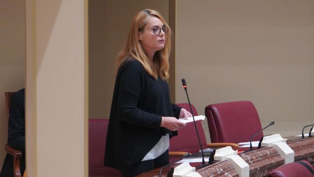 Marisol Sánchez: El Gobierno regional del PP lleva más de una década incumpliendo la ley que fija los tiempos máximos de espera para una cita médica - 3, Foto 3