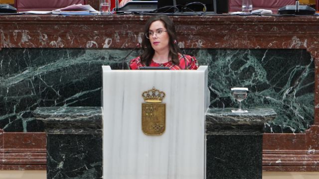 Marisol Sánchez: El Gobierno regional del PP lleva más de una década incumpliendo la ley que fija los tiempos máximos de espera para una cita médica - 4, Foto 4