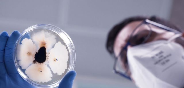 Transferencia tecnológica a partir de investigación básica - 5, Foto 5