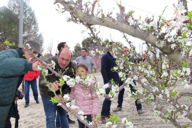 Pedro Antonio Sánchez: La agricultura es un sector generador de empleo, de futuro y de localización de inversiones - 2, Foto 2