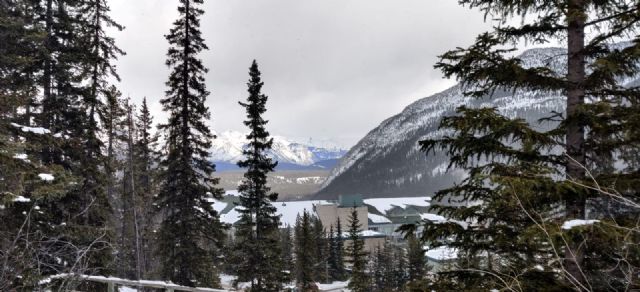 Medalla de plata en los ISA-SAIT WORLD STUDENT GAMES 2020 en Calgary, Canadá - 5, Foto 5