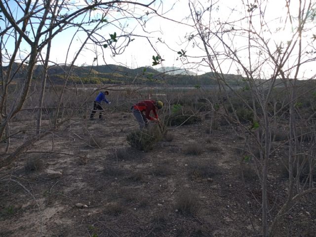 Proyecto piloto para erradicar la especie invasora Nicotiana glauca en el Humedal del Ajauque y Rambla Salada - 1, Foto 1