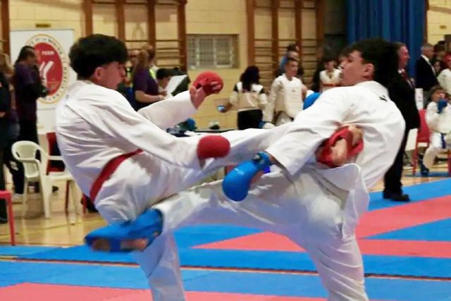 El Casa Zen torre&ntilde;o suma siete medallas en el campeonato regional de karate - 2, Foto 2