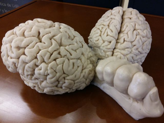 El escultor murciano Lidó Rico presenta en el Rectorado de la Universidad de Murcia la exposición The Wedding - 2, Foto 2